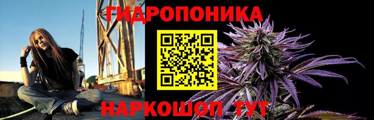 Минусинск  Канабис план  Бошки Шишки Amnesia  Вход с VPN  Канабис семена 